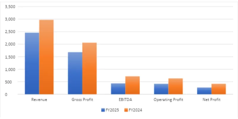 Financial Summary Table